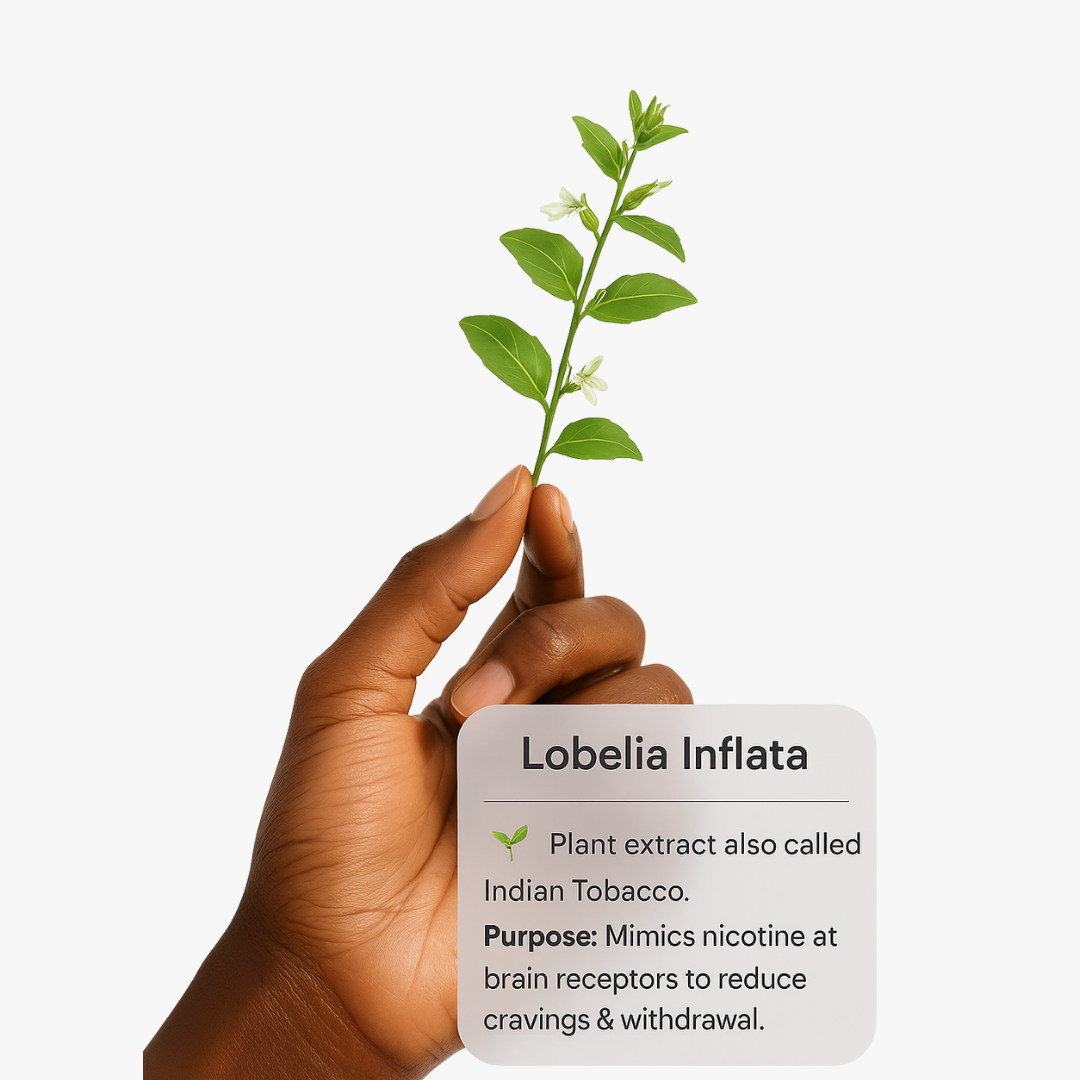 Break Free Patches – Calm & Focus Wellness Patch (30 Pack)